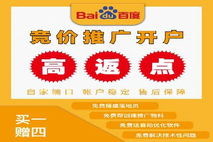 专业百度竞价代运营，助力企业高效获客